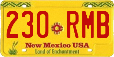 NM license plate 230RMB