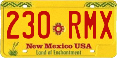 NM license plate 230RMX