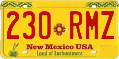 NM license plate 230RMZ