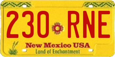 NM license plate 230RNE