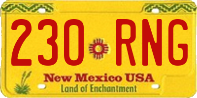 NM license plate 230RNG