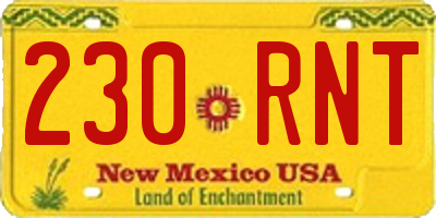 NM license plate 230RNT