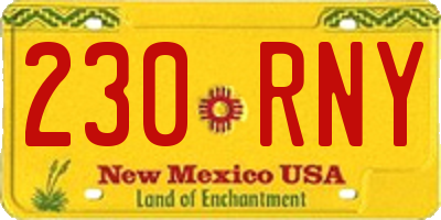 NM license plate 230RNY