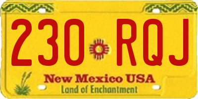 NM license plate 230RQJ