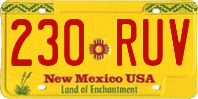 NM license plate 230RUV