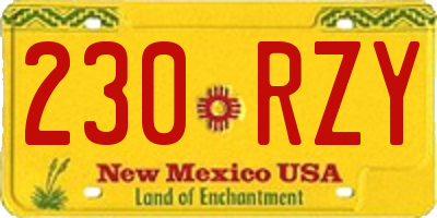 NM license plate 230RZY