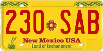 NM license plate 230SAB