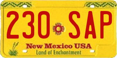 NM license plate 230SAP