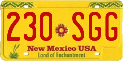 NM license plate 230SGG