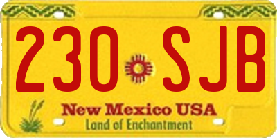 NM license plate 230SJB