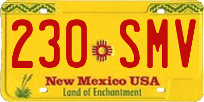 NM license plate 230SMV