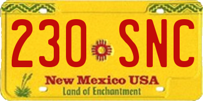 NM license plate 230SNC