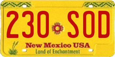 NM license plate 230SOD