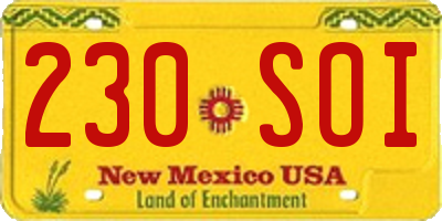 NM license plate 230SOI