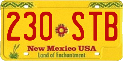 NM license plate 230STB