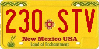 NM license plate 230STV