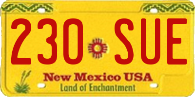 NM license plate 230SUE