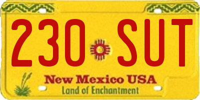 NM license plate 230SUT