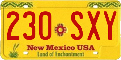 NM license plate 230SXY