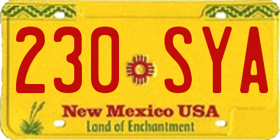 NM license plate 230SYA