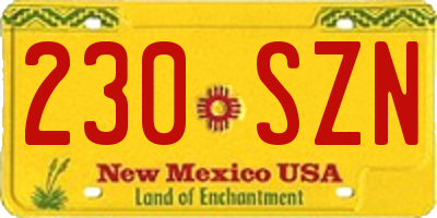 NM license plate 230SZN