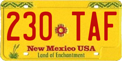 NM license plate 230TAF