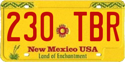 NM license plate 230TBR