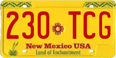 NM license plate 230TCG