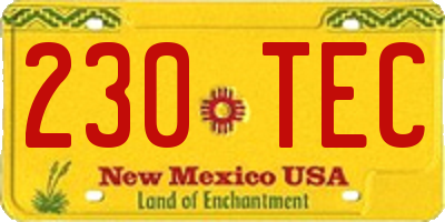 NM license plate 230TEC