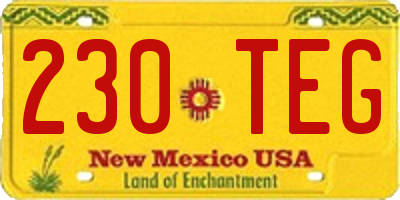 NM license plate 230TEG