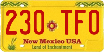 NM license plate 230TFO