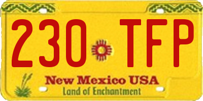 NM license plate 230TFP