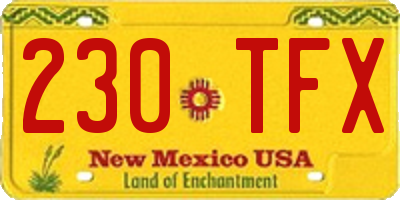NM license plate 230TFX