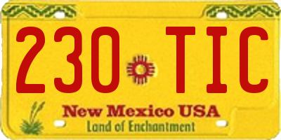 NM license plate 230TIC