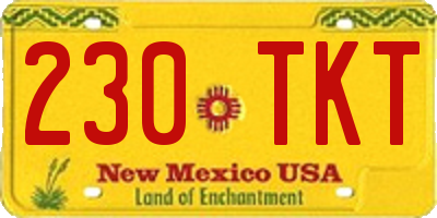 NM license plate 230TKT