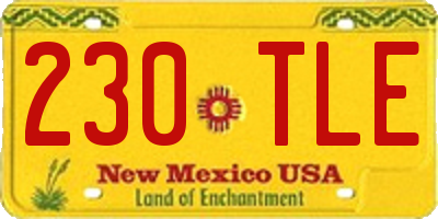 NM license plate 230TLE