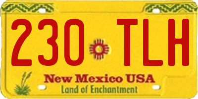 NM license plate 230TLH