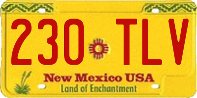 NM license plate 230TLV