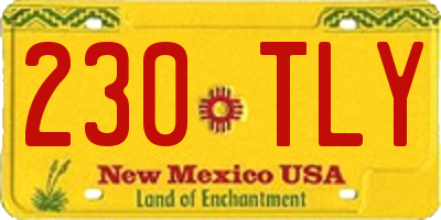 NM license plate 230TLY