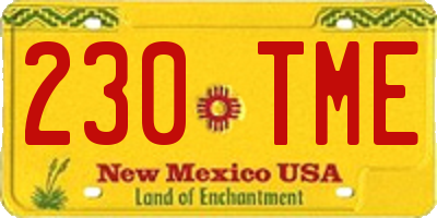 NM license plate 230TME
