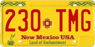 NM license plate 230TMG