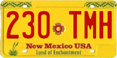 NM license plate 230TMH