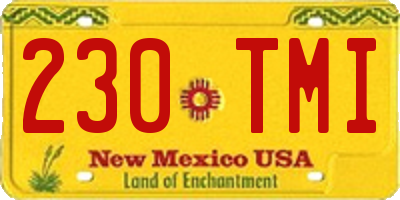 NM license plate 230TMI