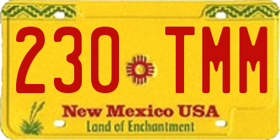 NM license plate 230TMM