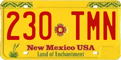 NM license plate 230TMN