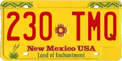 NM license plate 230TMQ