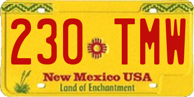 NM license plate 230TMW