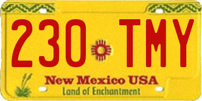 NM license plate 230TMY