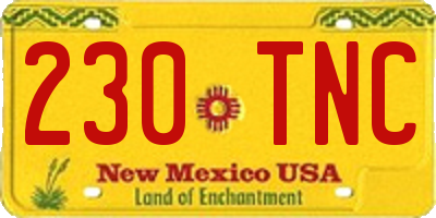 NM license plate 230TNC
