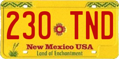 NM license plate 230TND
